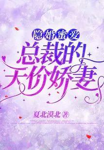 隐婚蜜愛：總裁的天價嬌妻