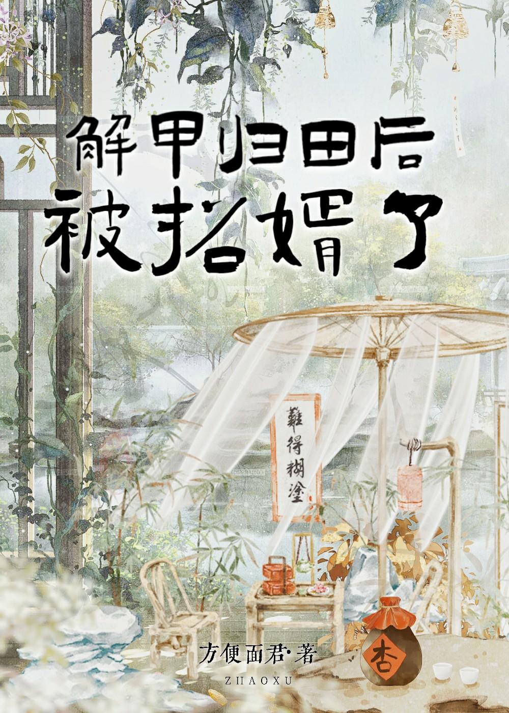 解甲歸田後，被招婿了