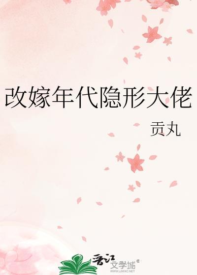 改嫁年代隐形大佬