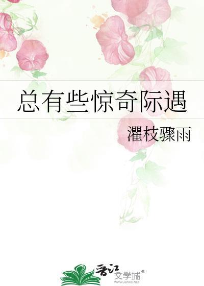 總有些驚奇際遇
