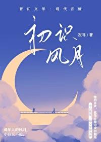 初識風月