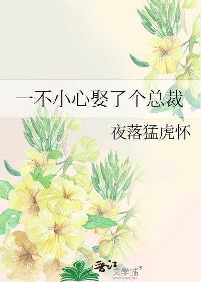 一不小心娶了個總裁