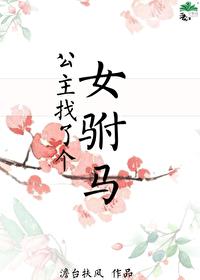 公主找了個女驸馬