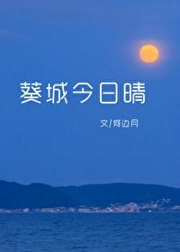葵城今日晴