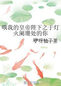 哦我的皇帝陛下之于燈火闌珊處的你
