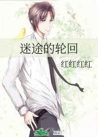迷途的輪回