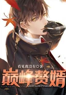 巅峰贅婿