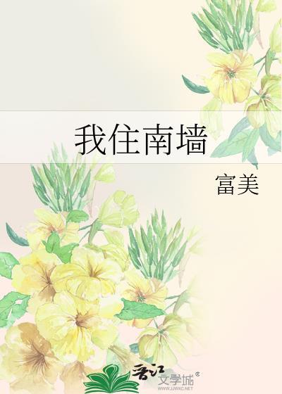 我住南牆