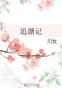 追瑭記