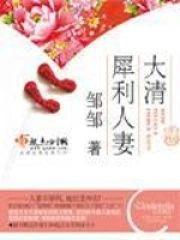 清朝經濟适用男