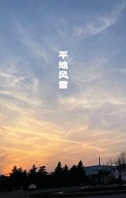 平地風雷[刑偵]