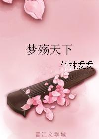 夢殇天下