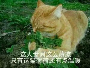 死對頭的情人标記了我abo