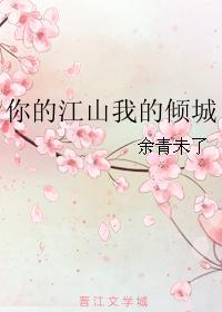你的江山我的傾城