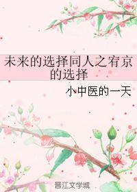 未來的選擇同人之宥京的選擇