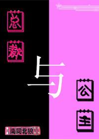 總裁與公主
