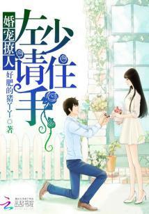 婚寵撩人：左少，請住手