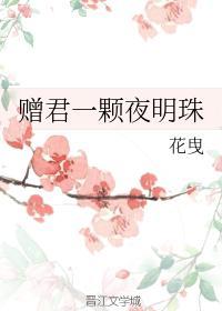 贈君一顆夜明珠