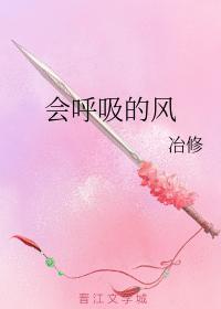 會呼吸的風