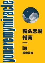 粉頭戀愛指南