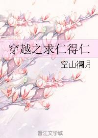 穿越之求仁得仁