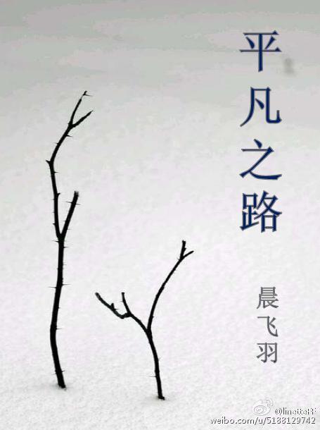 火影之平凡之路