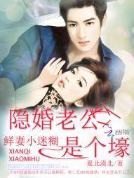 鮮妻小迷糊：隐婚老公是個壕