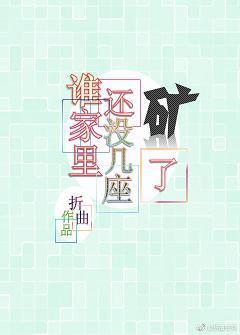 誰家裏還沒幾座礦了