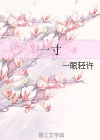 一寸