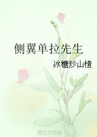 側翼單拉先生