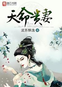 天命貴妻