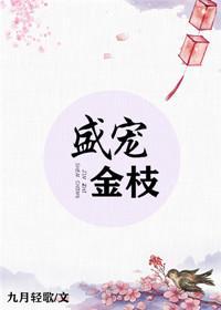 盛寵金枝