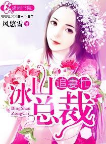 冰山總裁追妻忙