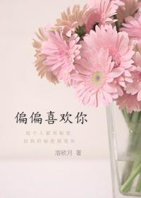 偏偏喜歡你（娛樂圈）