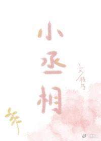 日常盯妻的小丞相