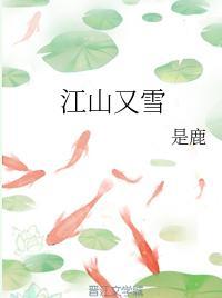 江山又雪
