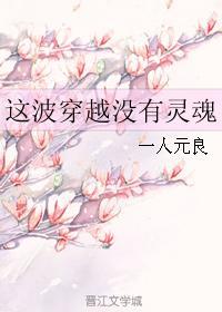 這波穿越沒有靈魂