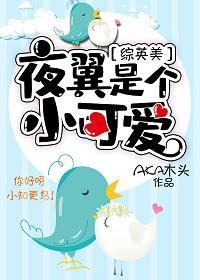 [綜英美]夜翼是個小可愛