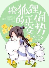 撩狐貍的正确姿勢