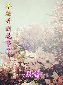 荼蘼開到花事了